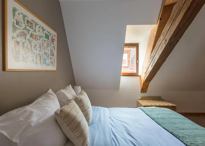 Le Rhenanus Hans Sapidus - Appartement Spacieux, Au Calme - Parking Gratuit