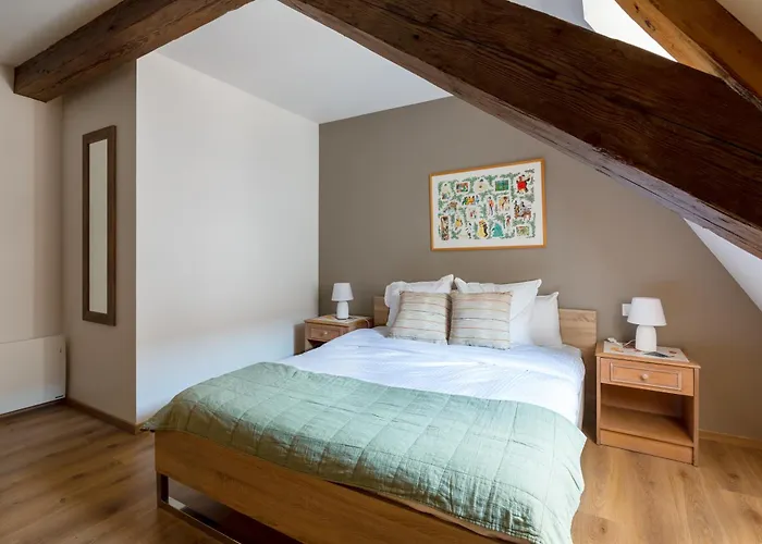 Le Rhenanus Hans Sapidus - Appartement Spacieux, Au Calme - Parking Gratuit