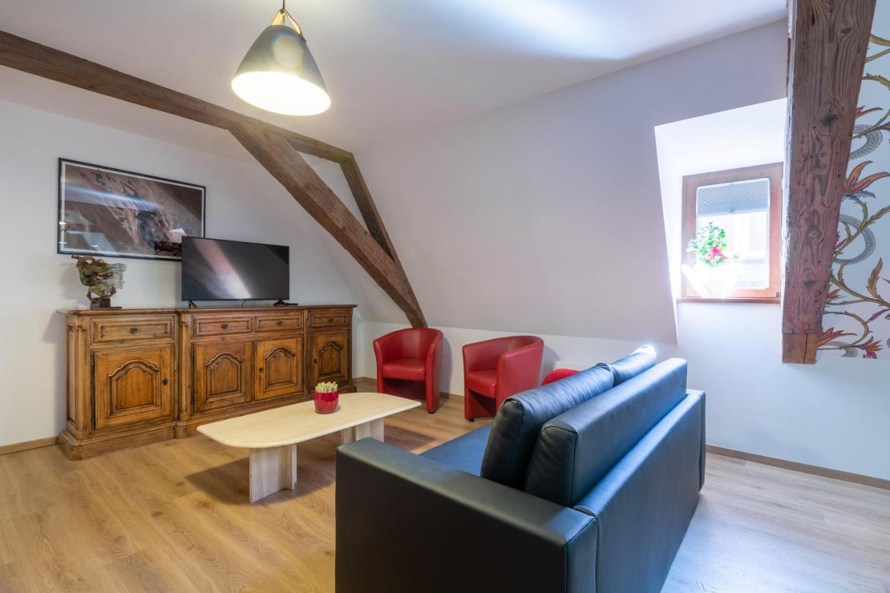 Apartment Le Rhenanus Hans Sapidus - Spacieux, Au Calme - Parking Gratuit
