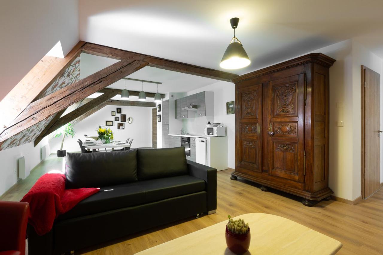 Le Rhenanus Hans Sapidus - Spacieux, Au Calme - Parking Gratuit Apartment