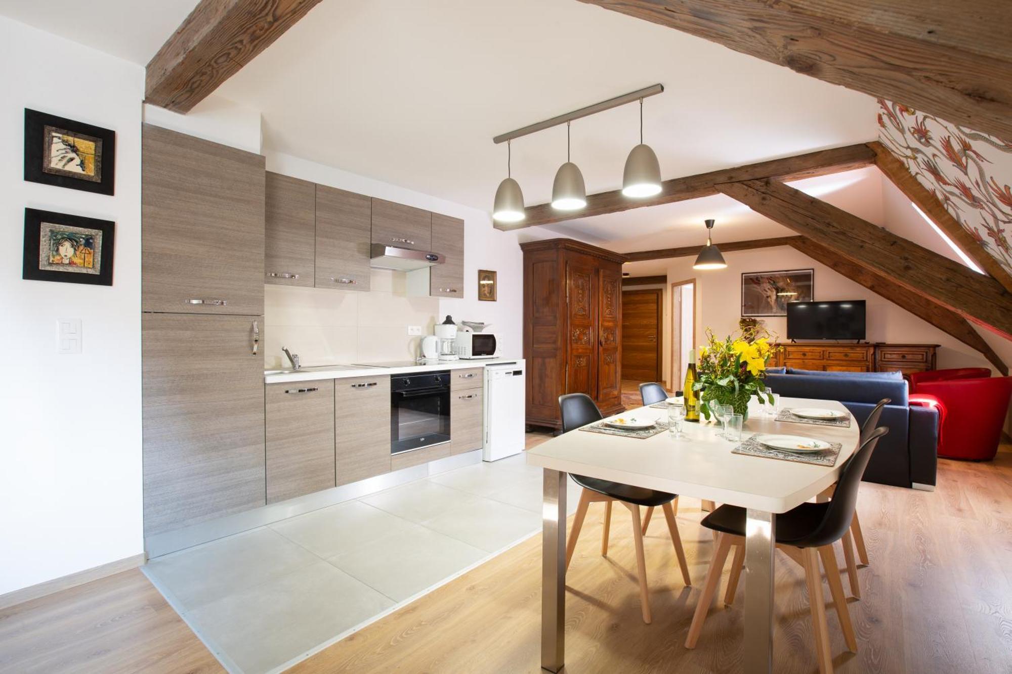 Apartment Le Rhenanus Hans Sapidus - Spacieux, Au Calme - Parking Gratuit Selestat